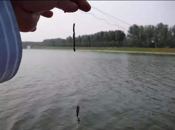 野钓调几钓几最好为什么