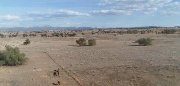 澳洲是哪个国家的简称