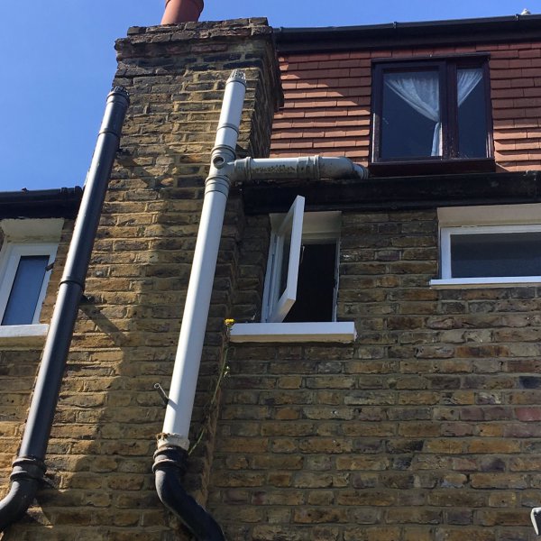 向日葵好养吗应该怎么养殖