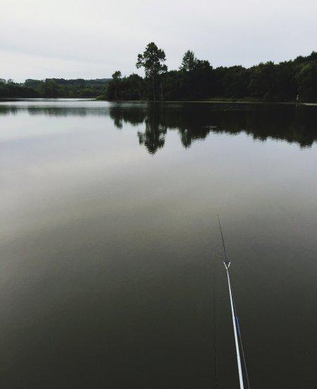 调平水钓两目怎么调