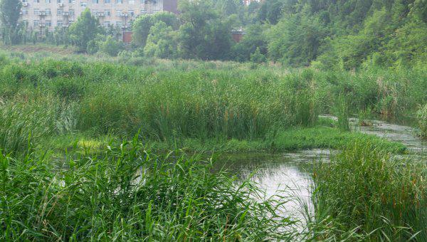 调平水钓两目怎么调