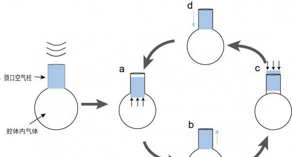 海螺为什么会有大海的声音