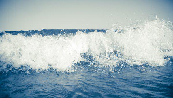 海螺为什么会有大海的声音