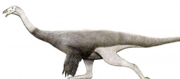 恐龙灭绝距今多少年