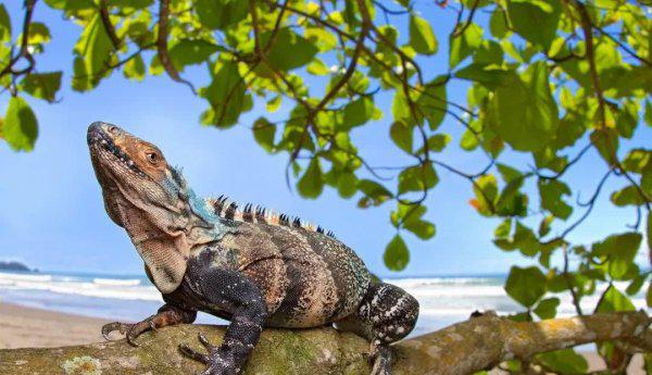 恐龙灭绝距今多少年