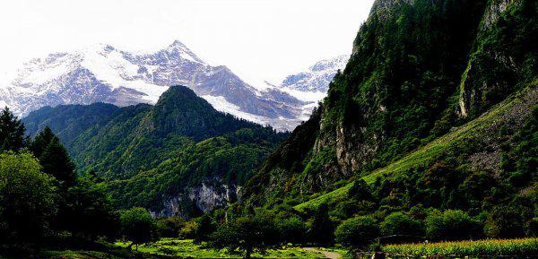 雨崩村在云南哪里属于哪个县