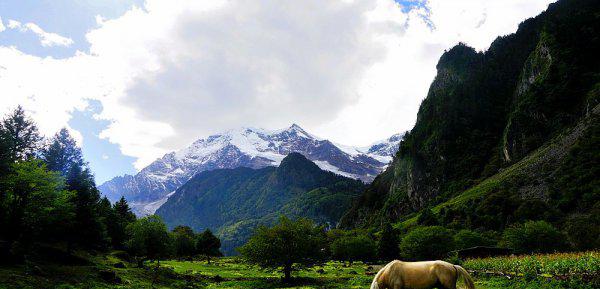 雨崩村在云南哪里属于哪个县