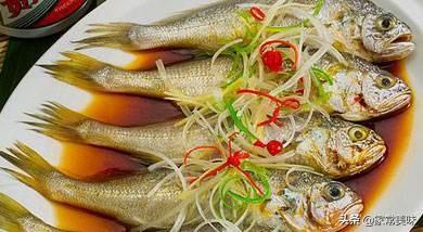 黄鱼是淡水鱼还是海水鱼