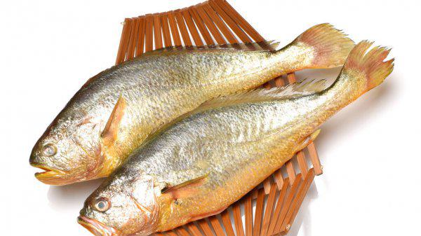 黄鱼是淡水鱼还是海水鱼