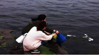 放生鱼有什么寓意和福报吗