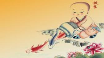 放生鱼有什么寓意和福报吗