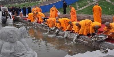 放生鱼有什么寓意和福报吗