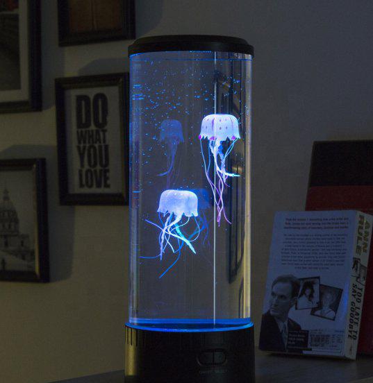 家养水母吃什么食物