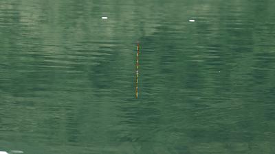 钓鲢鳙有口打不到鱼怎么回事