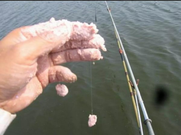 钓鲢鳙有口打不到鱼怎么回事