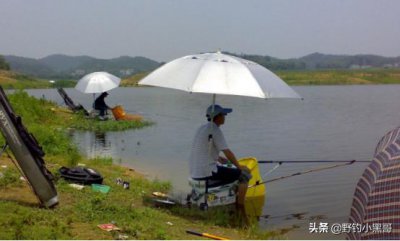 中午钓鱼钓深还是浅好 钓鱼时怎样抓住正确的时机