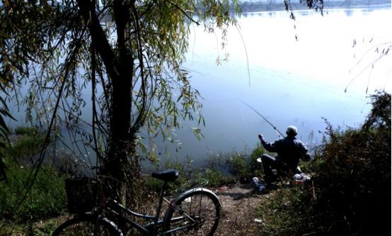 中午钓鱼钓深还是浅好