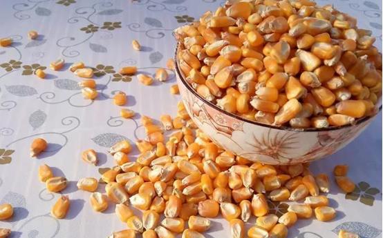 中午钓鱼钓深还是浅好