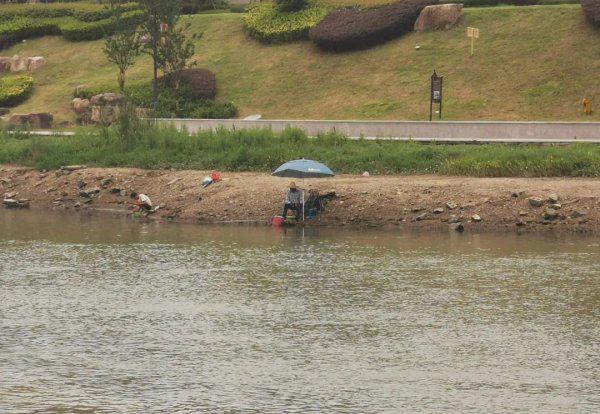螺鲤钓鲤鱼的最佳配方