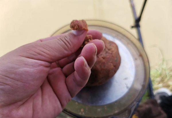 螺鲤钓鲤鱼的最佳配方