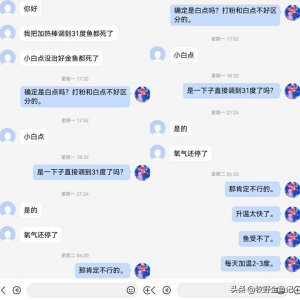 金鱼身上有白点怎么治 金鱼白点病的原因和治疗方法