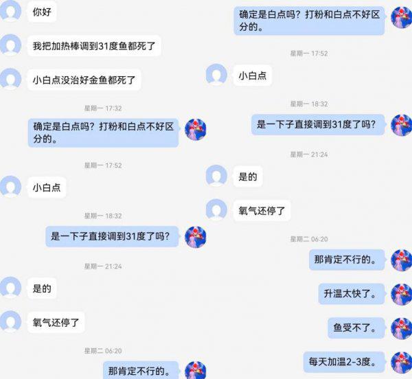 金鱼身上有白点怎么治