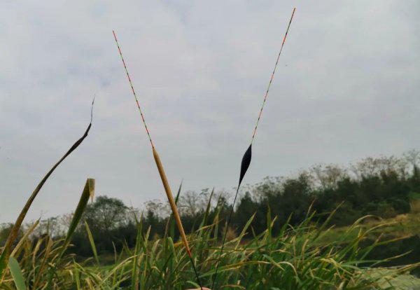 野钓排名第一的浮漂