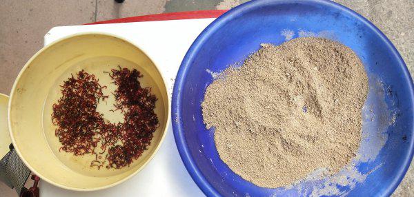 窝料配方大全鲫鱼怎么来的快