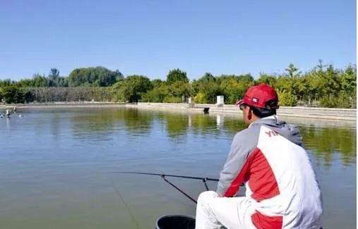 七星漂怎么调比较好