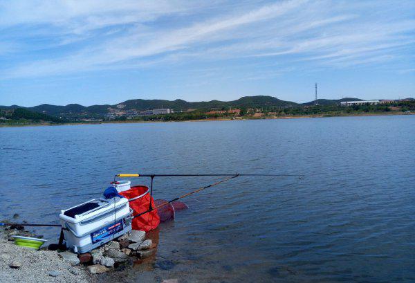 什么叫野钓什么叫黑坑