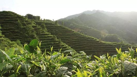 亚美尼亚国土面积和人口