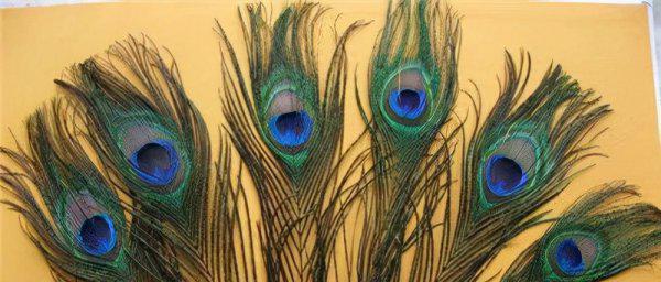 古代三眼花翎是多大的官