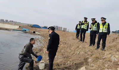 红虫是什么的幼虫 红虫是摇蚊的幼虫为何多地禁止捕捞