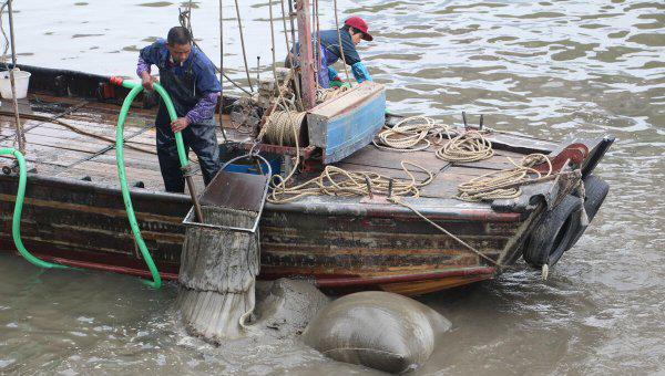 红虫是什么的幼虫