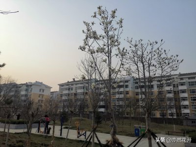 对牛弹琴告诉我们什么道理 对牛弹琴故事给我们的启示