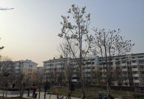 对牛弹琴告诉我们什么道理