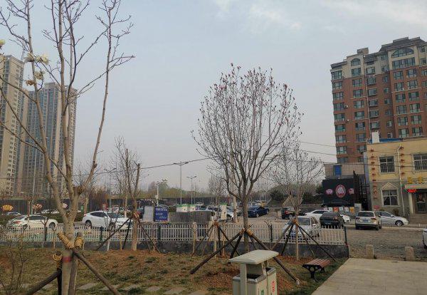 对牛弹琴告诉我们什么道理