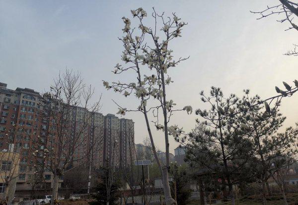 对牛弹琴告诉我们什么道理