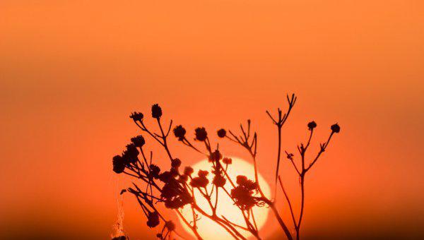 背井离乡的井字是什么意思