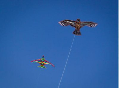 放风筝的技巧和窍门 想要风筝放的好要掌握哪些小窍门