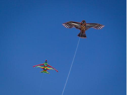 放风筝的技巧和窍门