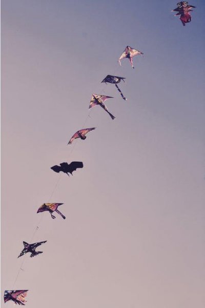 放风筝的技巧和窍门