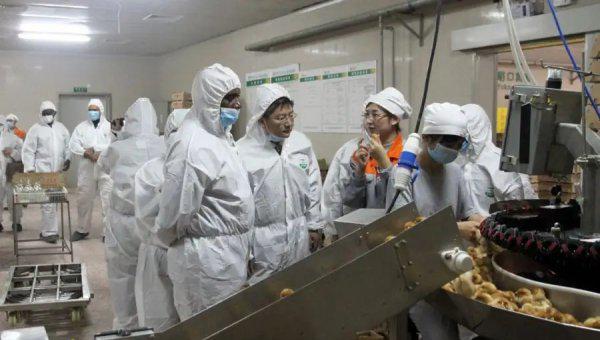 尼日利亚一个月工资大概多少