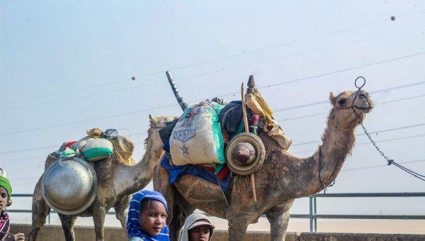 尼日利亚一个月工资大概多少