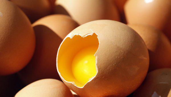 鸡吃自己下的蛋是怎么回事