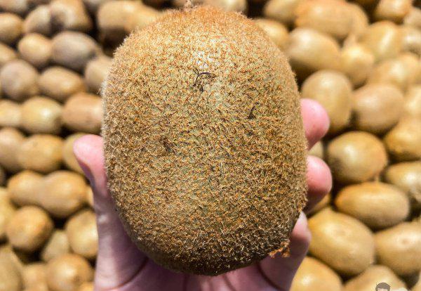 属于安徽名优特产水果