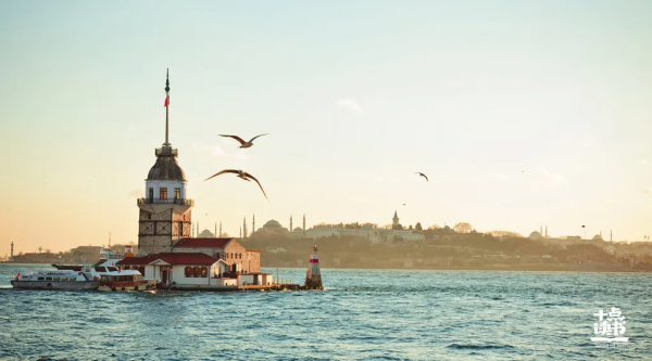 怎么理解人生如茶什么意思