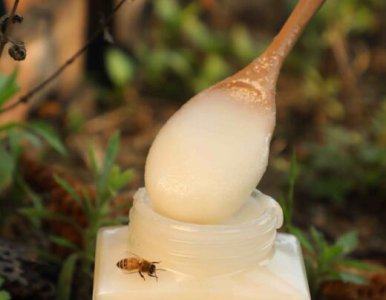 蜂蜜结晶怎么融化回到原来 融化结晶蜂蜜的正确方法