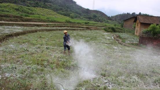生石灰是什么物质