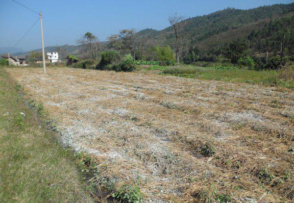 生石灰是什么物质